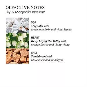 Molton Brown Lily & Magnolia Blossom Bath & Shower Gel 300ml